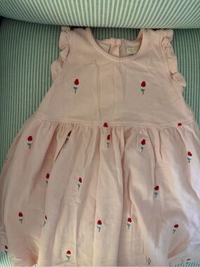Pink Chicken Light Pink Embroidered Ice Pop Dress